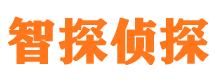 城步市侦探